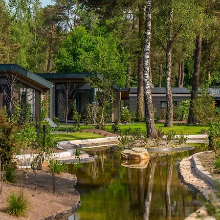 Modern On A Park, Adjacent To The Hoge Veluwe National Park